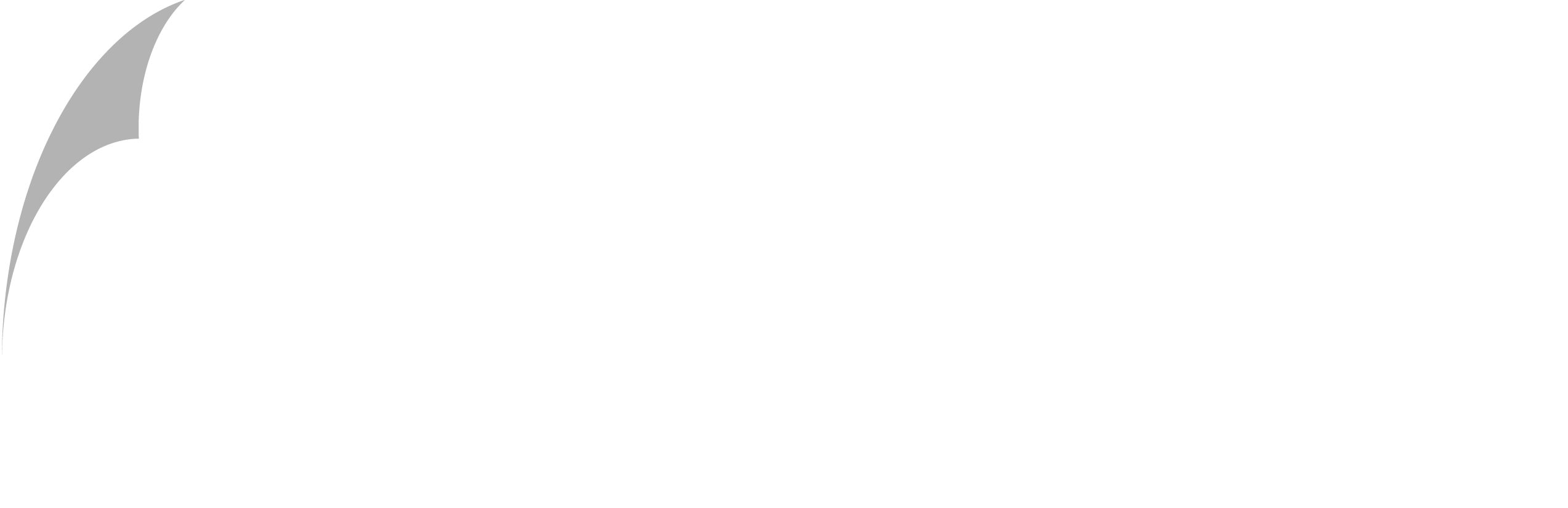 株式会社 Izanami Game Lab